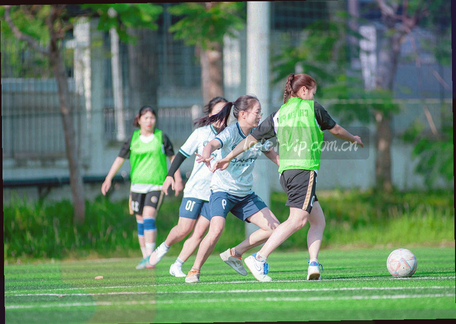多册旧版资料并排摆放，封面贴有版本标签与暖金索引线